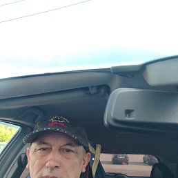 , 56, 