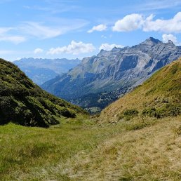 �������, ������, 49 ���