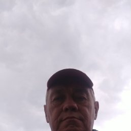 , 53, 