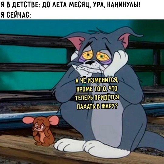  - 1  2025  13:44