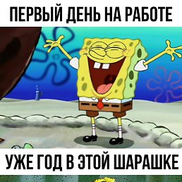 �������, ������, 48 ���