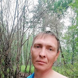 , 41, 