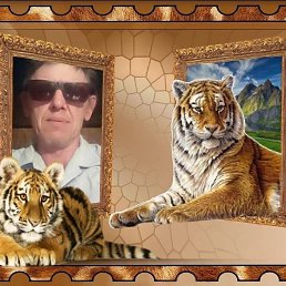 ���� ��������, ������, 55 ��� - ��������� 15 ������ 2023