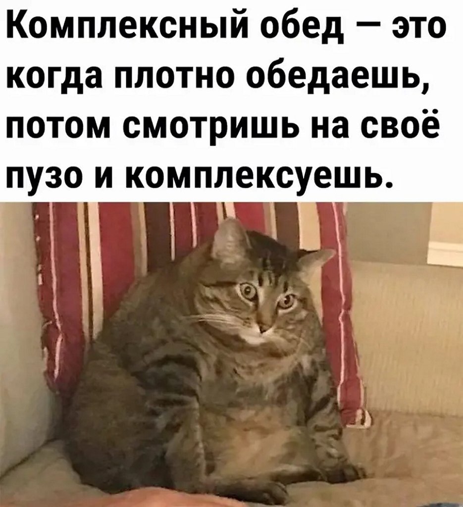 ☆ ☆ - 19  2025  16:32