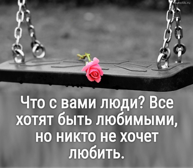   - 23  2025  23:50