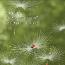  Tatiana,  -  16  2024    