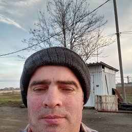 ���� ���������, 48 ���, ���������