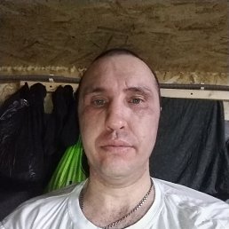 ���� �������, �����, 38 ��� - ��������� 5 ������� 2026