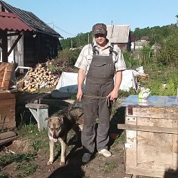 �������, ����������, 44 ����