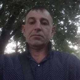 , 42, 