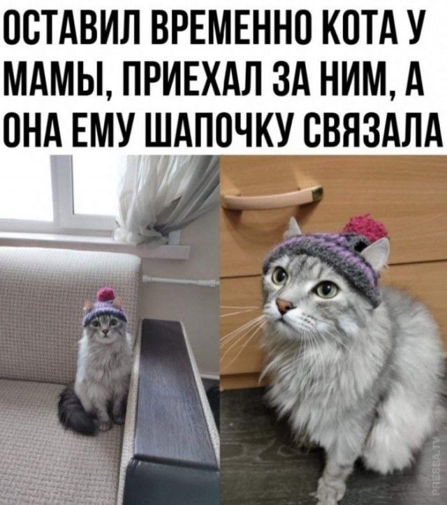 ОБО ВСЕМ - 11 октября 2025 в 19:49