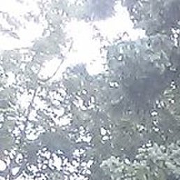 Kaluadih.80@19800409@1988, ��������, 45 ���