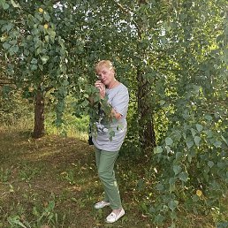 �����, �����������