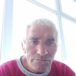 , 55, 