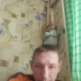 ���� ����, ������, 41 ��� - ��������� 6 ������ 2026