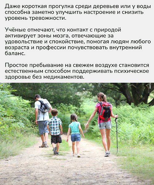 Природа работает как мягкий перезапуск для нервной системы — достаточно лишь выйти из дома, чтобы ... - 2
