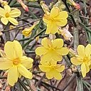 ���� �����, �����������, 36 ��� - ��������� 18 ������� 2026