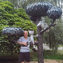 ������, �������, 40 ���