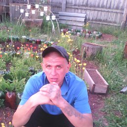 ������, 46 ���, �����������