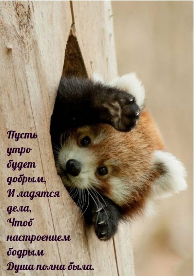 �������� �� ����� ����. - 18 ����� 2026 � 05:46