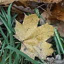 ���� �����, �����-��������� - ��������� 25 ������� 2025 � ������ ������25�