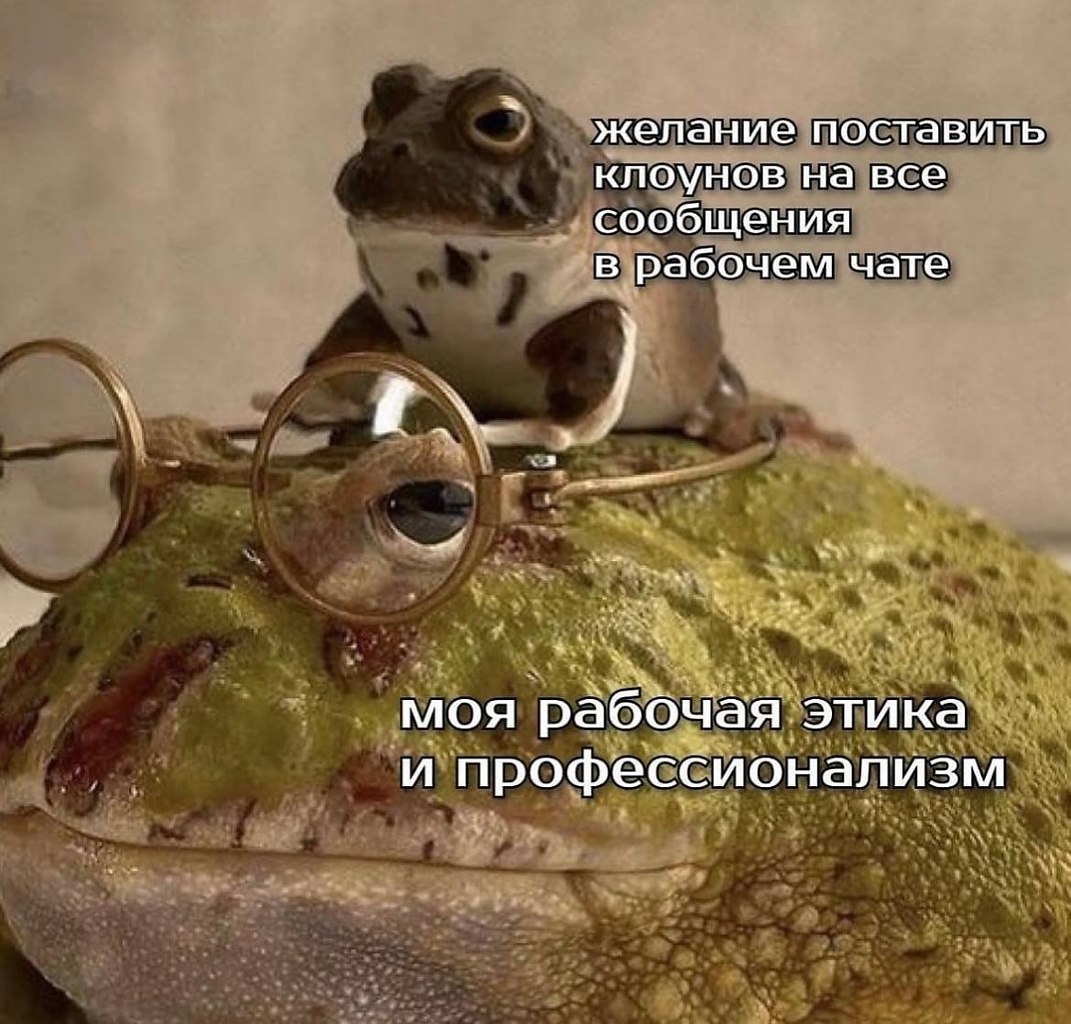 �������������� - 25 ������� 2026 � 21:51