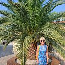 ���� �����, ������-���, 62 ���� - ��������� 17 ������� 2025 � ������ ���� ����������