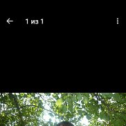 , 55 , --