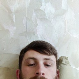 , 37, 