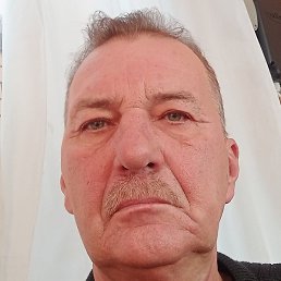 ������, ��������, 65 ���