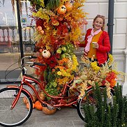 ���������, 58 ���, �����