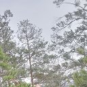 ���� ������, �������, 51 ��� - ��������� 8 ������� 2024 � ������ ���� ����������