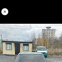 ���� �, �������, 49 ��� - ��������� 15 ������ 2023 � ������ ���� ����������