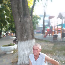 , 68, 