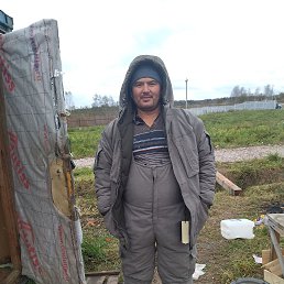 ���� ������, ������, 38 ��� - ��������� 17 ������ 2023