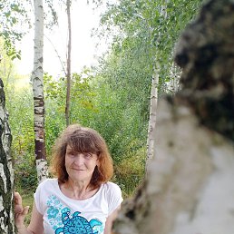, 61, 