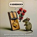 ���� �������, ������������, 61 ��� - ��������� 2 ���� 2026 � ������ ������ ��������