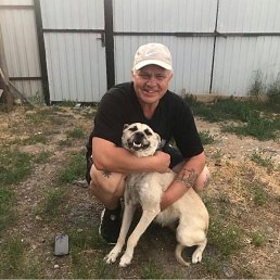 ������, ����������, 52 ����