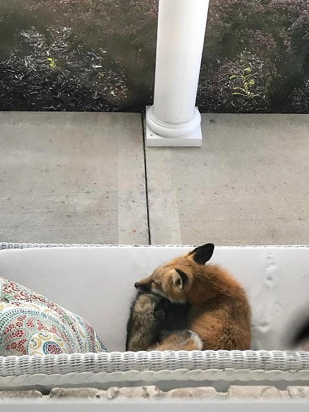      ? :    ,       ... - 4