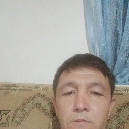 , 40, 
