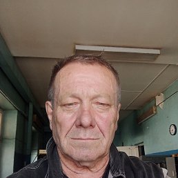 , 66, 