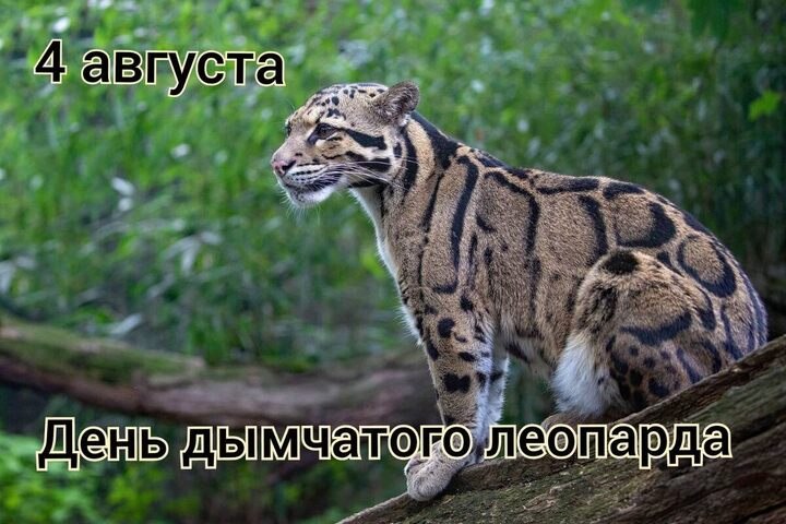 : , , , . - 3