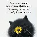 ���� �����, ����� - ��������� 4 ��� 2026 � ������ ������ ��������