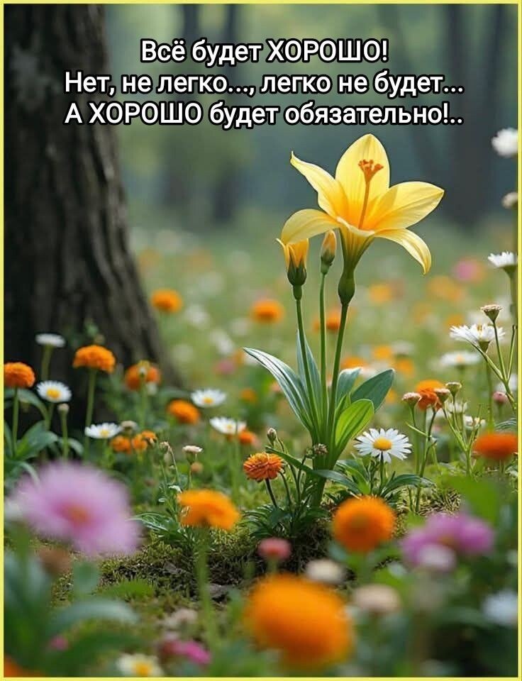 �������� ������ - 2 ��� 2026 � 15:48