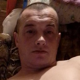 ����, ������, 41 ���