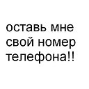 ���� ������, �������� - ��������� 8 ������ 2026 � ������ ������ ��������