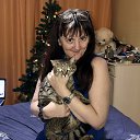 ���� ������0, ������ - ��������� 20 ������� 2025 � ������ ���� ����������