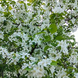 Фото Любовь, Ухта, 46 лет Любовь, Ухта, 46 лет