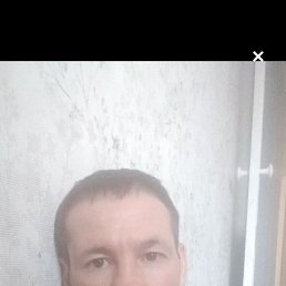 , 41, 