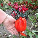 27.03.2024  ,      ,  ,    